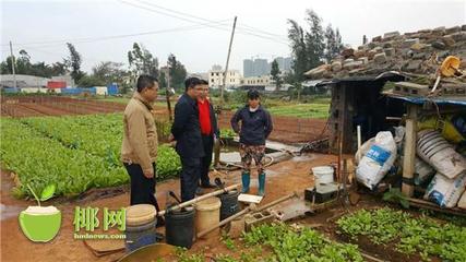 海口秀英区 互联网销售助困难群众“暖身”度寒潮